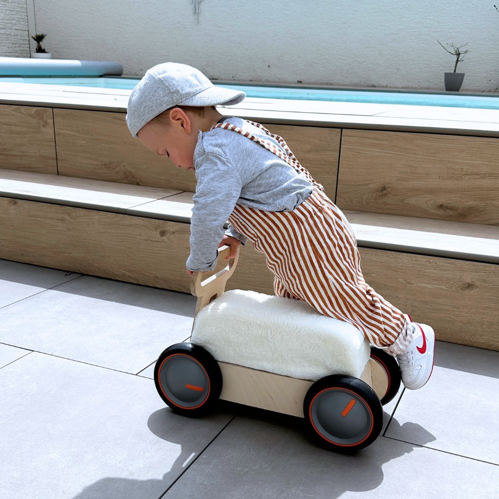 HirschExpress | Multifunktionales Rutschauto & Lauflernwagen ab 1 Jahr