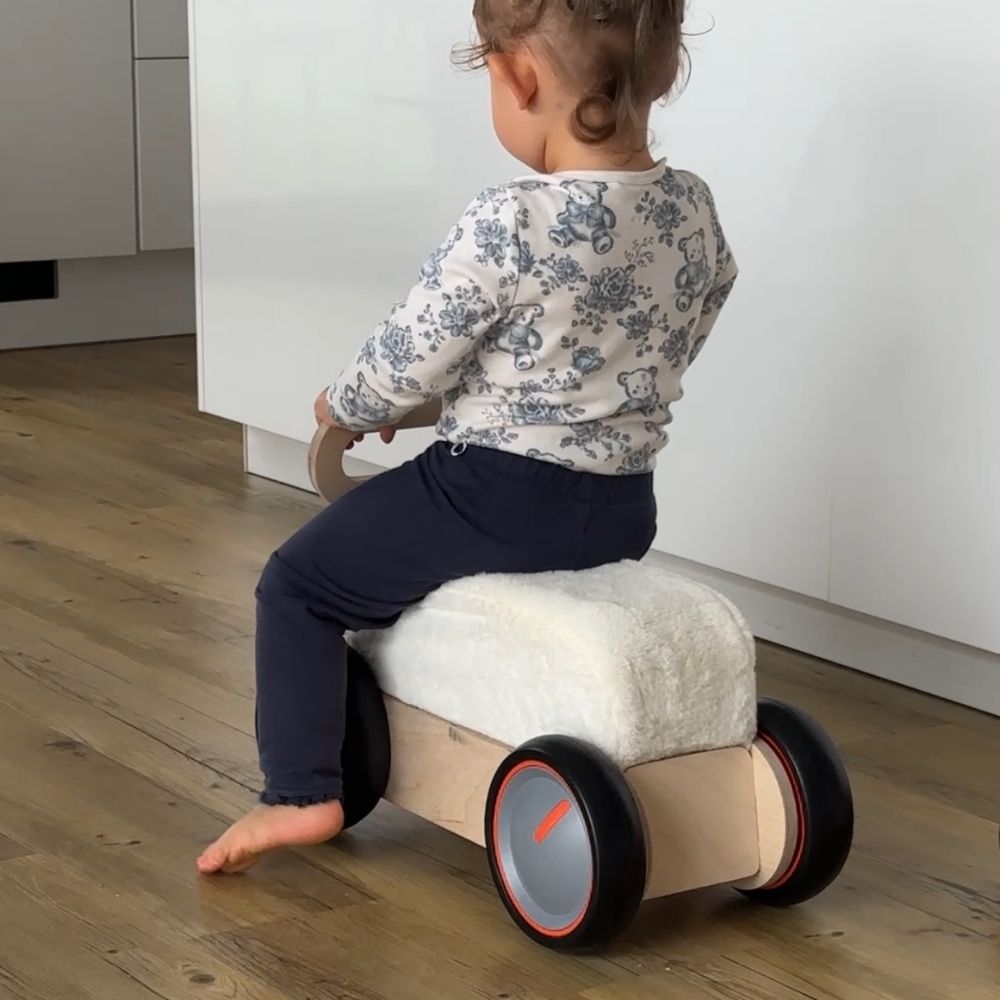 HirschExpress | Multifunktionales Rutschauto & Lauflernwagen ab 1 Jahr