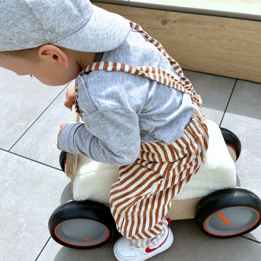 HirschExpress | Multifunktionales Rutschauto & Lauflernwagen ab 1 Jahr