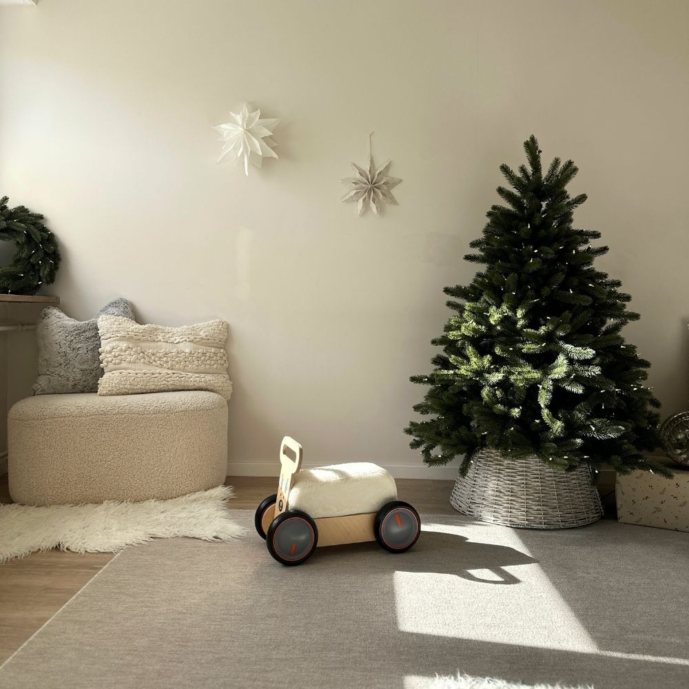 HirschExpress | Multifunktionales Rutschauto & Lauflernwagen ab 1 Jahr