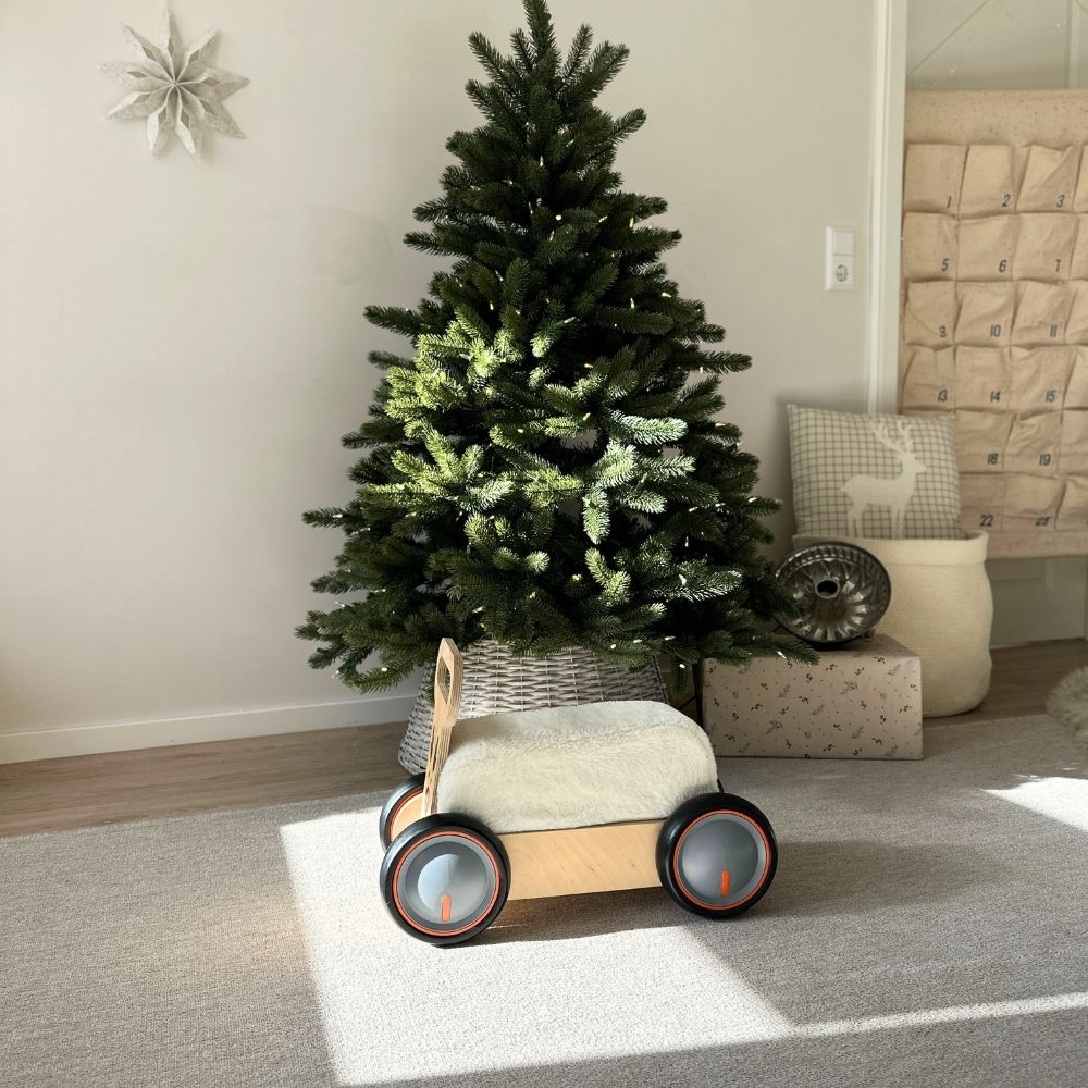 HirschExpress | Multifunktionales Rutschauto & Lauflernwagen ab 1 Jahr