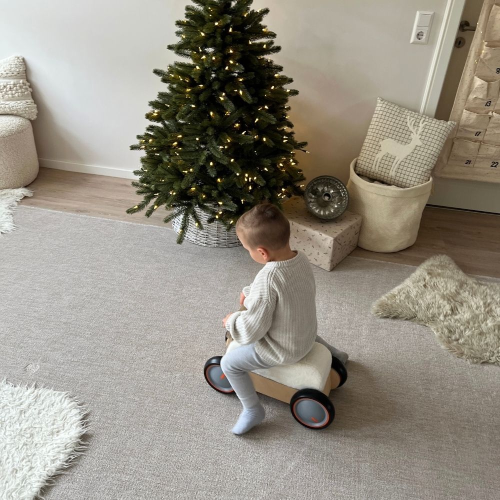 HirschExpress | Multifunktionales Rutschauto & Lauflernwagen ab 1 Jahr