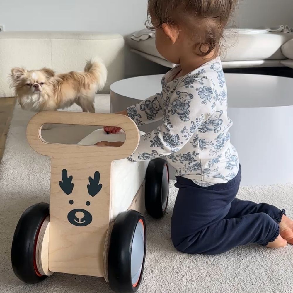 HirschExpress | Multifunktionales Rutschauto & Lauflernwagen ab 1 Jahr